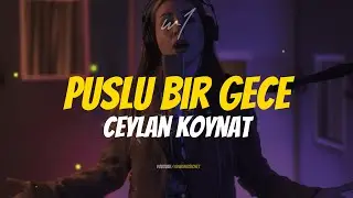 Ceylan Koynat - Puslu Bir Gece (Lyrics)