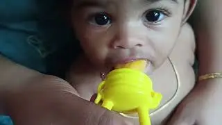 How to Use LuvLap Silicone Food & Fruit Nibbler 6m+ | BPA Free | Easy for Baby to Suck Vegetables