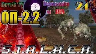 ОП-2.2 S.T.A.L.K.E.R. #24. Охота на монстров. Чук и Гек на свободу. Грампластинки.  Котобегемот.