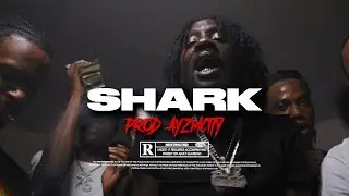 (FREE) Chicken P Type Beat "SHARK"