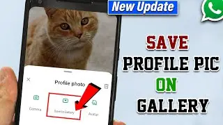 How To Save Profile Picture On Whatsapp 2024 [Save in Gallery]