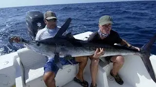 Jeremy Plays Tug of War with a Striped Marlin