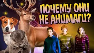 Как Гарри Поттер Рон и Гермиона не стали Анимагами?