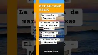 Летние Слова на Испанском с Произношением: Учим Вместе! #shorts #испанский