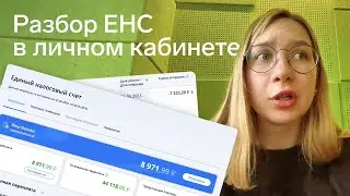 Разбор ЕНС в личном кабинете ИП