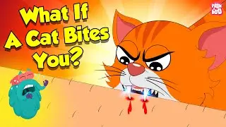 Is Cat Bite Dangerous? | What If A Cat Bites You? | Infection from Cat Bite | Dr. Binocs Show