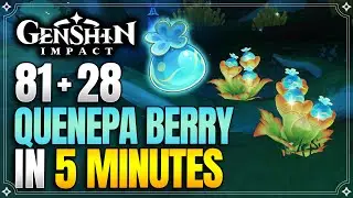 Quenepa Berry Locations | Fast and Efficient Route | Kachina Ascension Materials |【Genshin Impact】