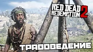 Red Dead Redemption 2 - Травоведение. Найти Тысячелистник. Стрельба по бутылкам. Топор дровосека