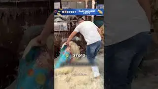 Производство одеял из овечьих шкур 😮🔥🐏