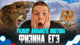 Разбор Дальнего Востока ЕГЭ по физике | физика ЕГЭ 2024 Глеб Орел