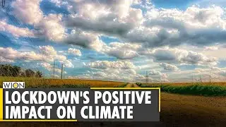 COVID-19 lockdowns positive impact on environment | World News | WION News