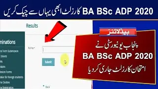 PU Announced BA BSc ADP Part 1 and 2 Annual Exams 2020 Result | How to Check Punjab University Exams