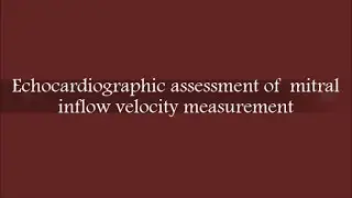 Echocardiographic assessment of  mitral inflow velocity measurement