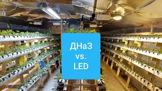 // ДНаЗ 600w или LED 300w? // Что лучше для теплиц, проверяем спектрометром