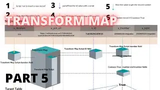 Transform Map | Guide @ Pothi & Payhip | Part 5