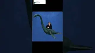 Chessie the Seamonster, amazing footage😱