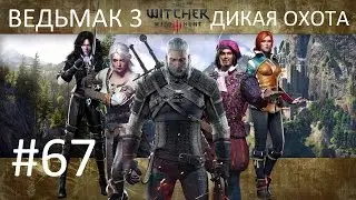 Ведьмак 3: Дикая Охота [PC] Прохождение #67 Братья по оружию