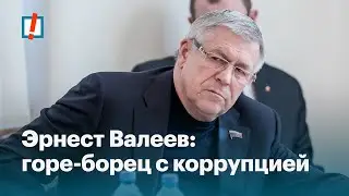 Эрнест Валеев: горе-борец с коррупцией