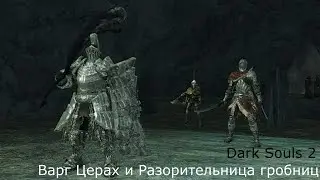 Варг, Церах и Разорительница Гробниц: Dark Souls 2 / Дарк Соулс 2 - тактика как убить победить босса