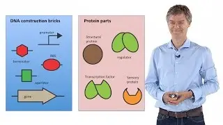 Synthetic Biology: Principles and Applications - Jan Roelof van der Meer