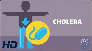 CHOLERA: Everything You Need To Know