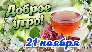 С Добрым Утречком! 🌺 Желаю прекрасного дня! Красивые пожелания Доброго Утра 🌸 Открытка