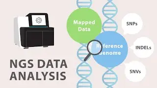 4) Next Generation Sequencing (NGS) - Data Analysis