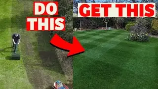 Renovating my lawn from start to finish // Cut short, seed, soil and feed