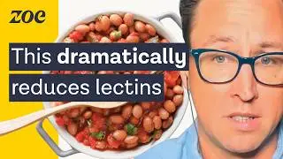 Should you worry about lectins? | Dr. Will Bulsiewicz