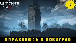 Ведьмак 3 Дикая Охота ➤ Задание Кейры Мец и путь в Новиград #7