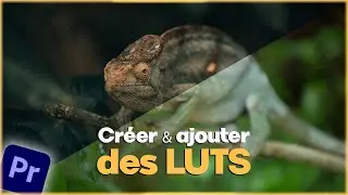 3min pour CRÉER & AJOUTER des LUTS sur Adobe Premiere Pro