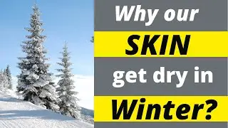 Why our skin get dry in winter #shorts