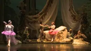 The Sleeping Beauty - Houston Ballet