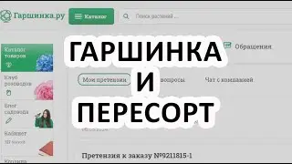 Гаршинка и пересорт, отзыв о Гаршинке, сезон 2024