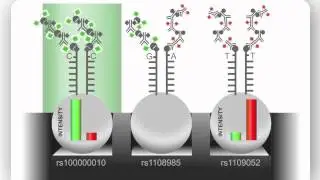 Illumina Infinium Assay: An Overview