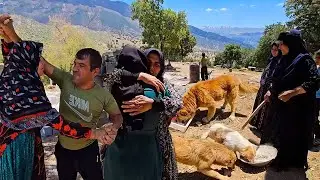 The Family Full of Love and Empathy with Fariba ,Mahbooba and Farida💓