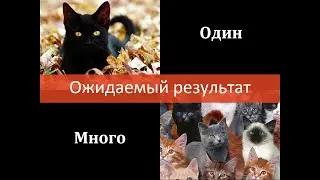 ОР в тест-кейсе: один или много