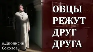 ВНУТРИ НАС ЖИВЁТ ДИКАРЬ / о.Дионисий Соколов