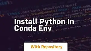 install python in conda env