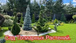 Сад топиарных Растений. Eva Topiary garden. Мой сад, давно вам не показывала как он подрос.