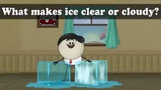 What makes ice clear or cloudy? | #aumsum #kids #science #education #children