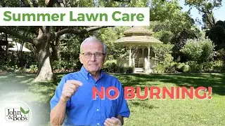 Summer Lawn Care | Green Summer Lawn Without Burning (100% Organic!)