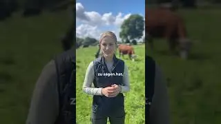 Milch trinken, ohne dass dafür Kuh und Kalb getrennt werden?