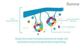 Single-cell Resolution with Next-generation Sequencing - Methods Guide