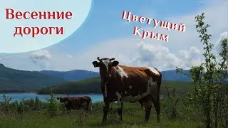 🌍 Весенними дорогами | Крым | Севастополь 🌍 ВК_МОРЕ