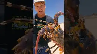 Giant 1000$ Lobster Catch and Cook!