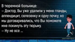 💎Разговаривают Два Японца...Большой Сборник Смешных Анекдотов,Для Супер Настроения!