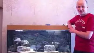 How to Aquarium Maintenance - African Cichlids