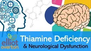 Vitamin B1 (Thiamine) Deficiency, Neurological Dysfunction & Disease