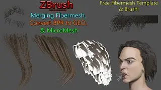 Z brush - Easily convert, and sculpt on… Fibermesh!?